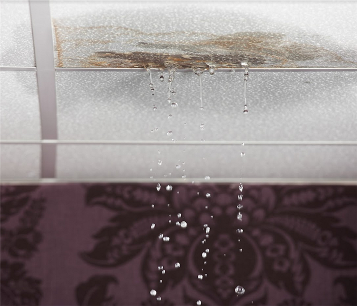 water leaking through ceiling tiles